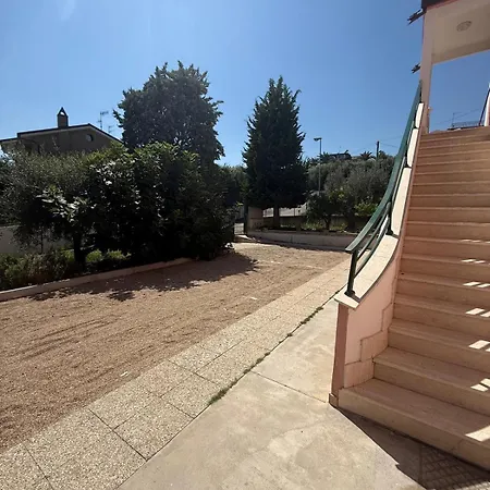 Rosa Nel - Vista D'amare *